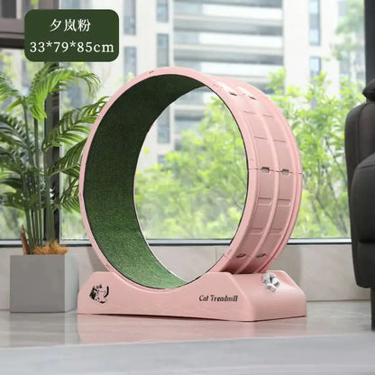 High Quality Modern Plastic Cat Treadmill Wheel Eco-Friendly Silent Exercise Equipment for Cat Interactive and Movement Toy