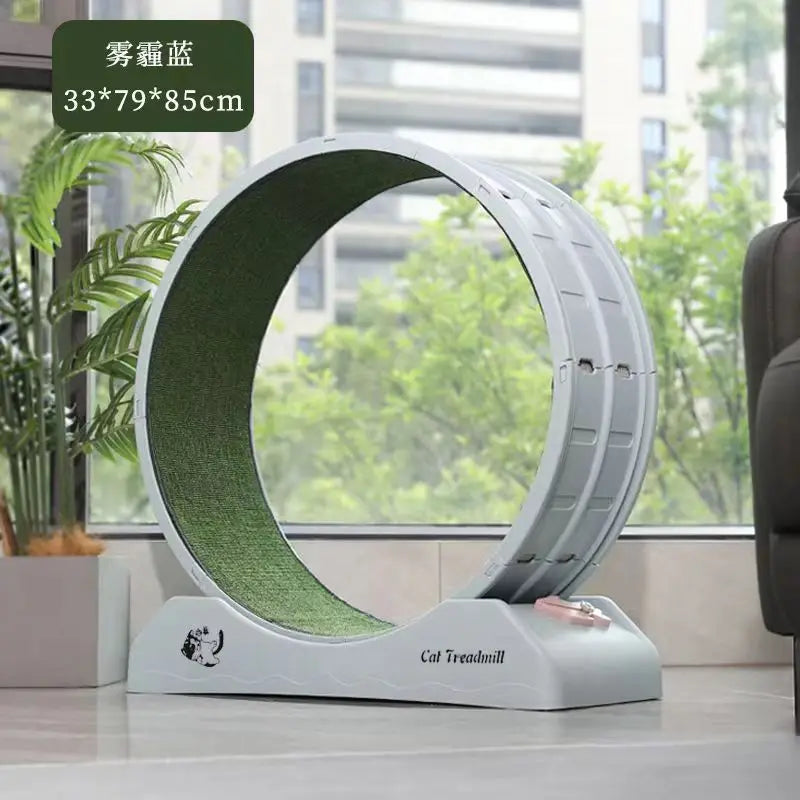 High Quality Modern Plastic Cat Treadmill Wheel Eco-Friendly Silent Exercise Equipment for Cat Interactive and Movement Toy