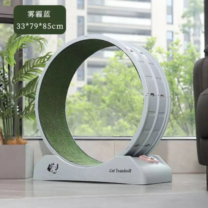 High Quality Modern Plastic Cat Treadmill Wheel Eco-Friendly Silent Exercise Equipment for Cat Interactive and Movement Toy