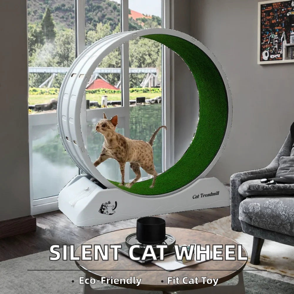 High Quality Modern Plastic Cat Treadmill Wheel Eco-Friendly Silent Exercise Equipment for Cat Interactive and Movement Toy