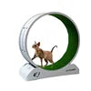 High Quality Modern Plastic Cat Treadmill Wheel Eco-Friendly Silent Exercise Equipment for Cat Interactive and Movement Toy